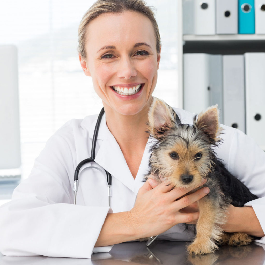 Connect with your veterinary peers and earn reward points.